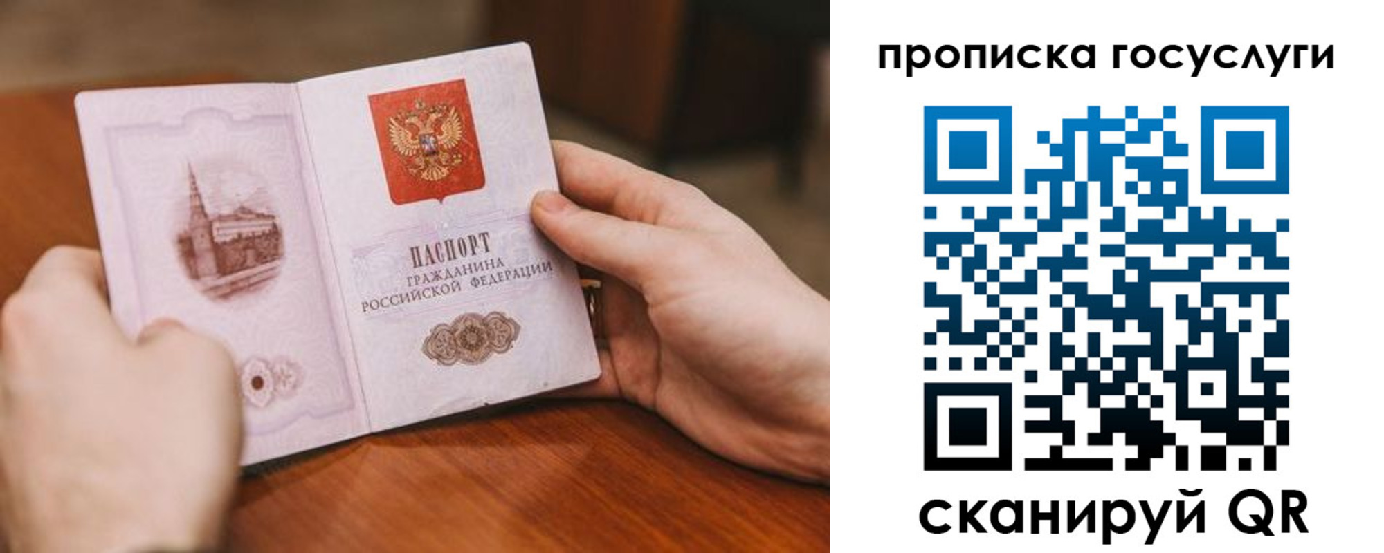 прописка ребенка в Московской области